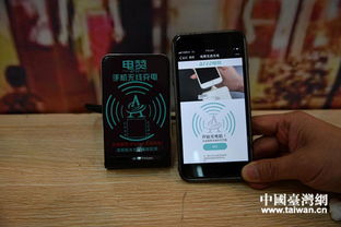 四川熊貓 烏木亮相大陸臺資企業(yè)產品展銷會