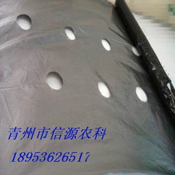 山東地區(qū)專(zhuān)業(yè)的銀黑雙色地膜 銀黑地膜圖片